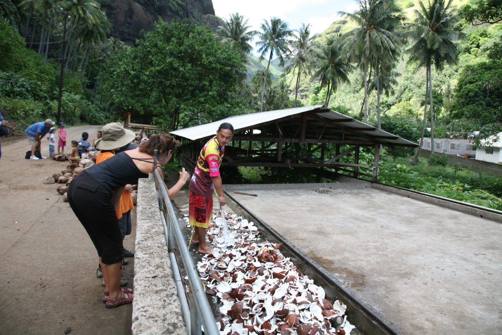 Waschen des Kokosnussfleisches