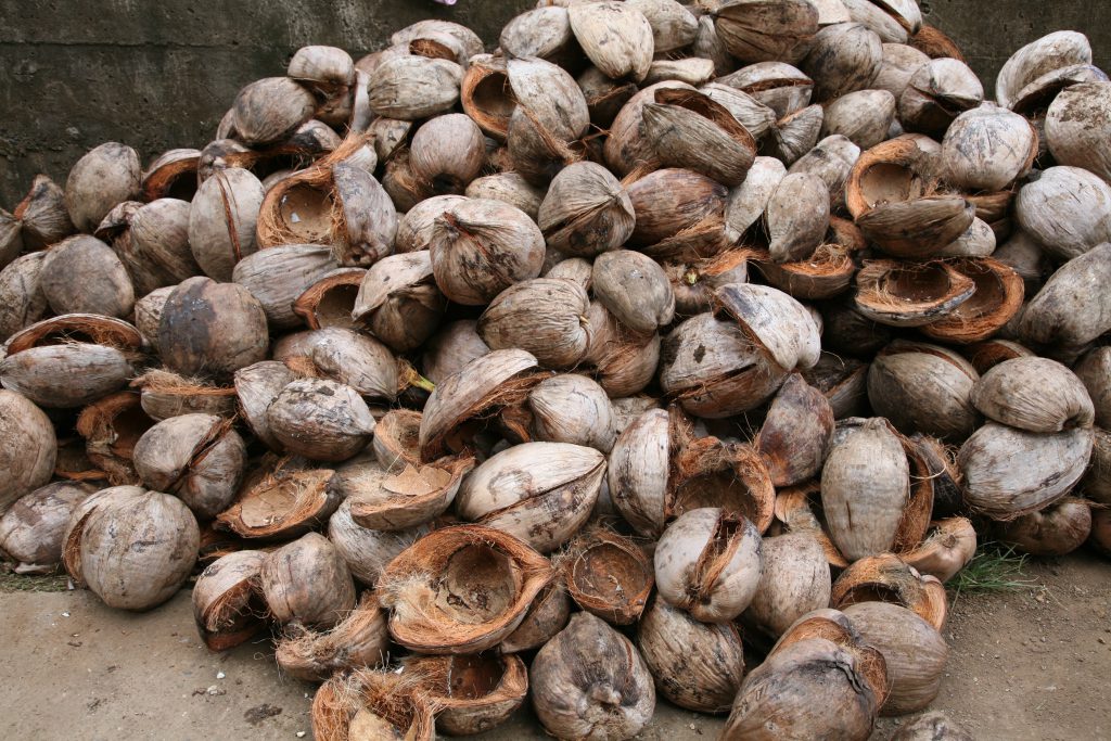 Kokosfaser für weitere Kokosprodukte