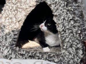 Lucky - leicht seekrank