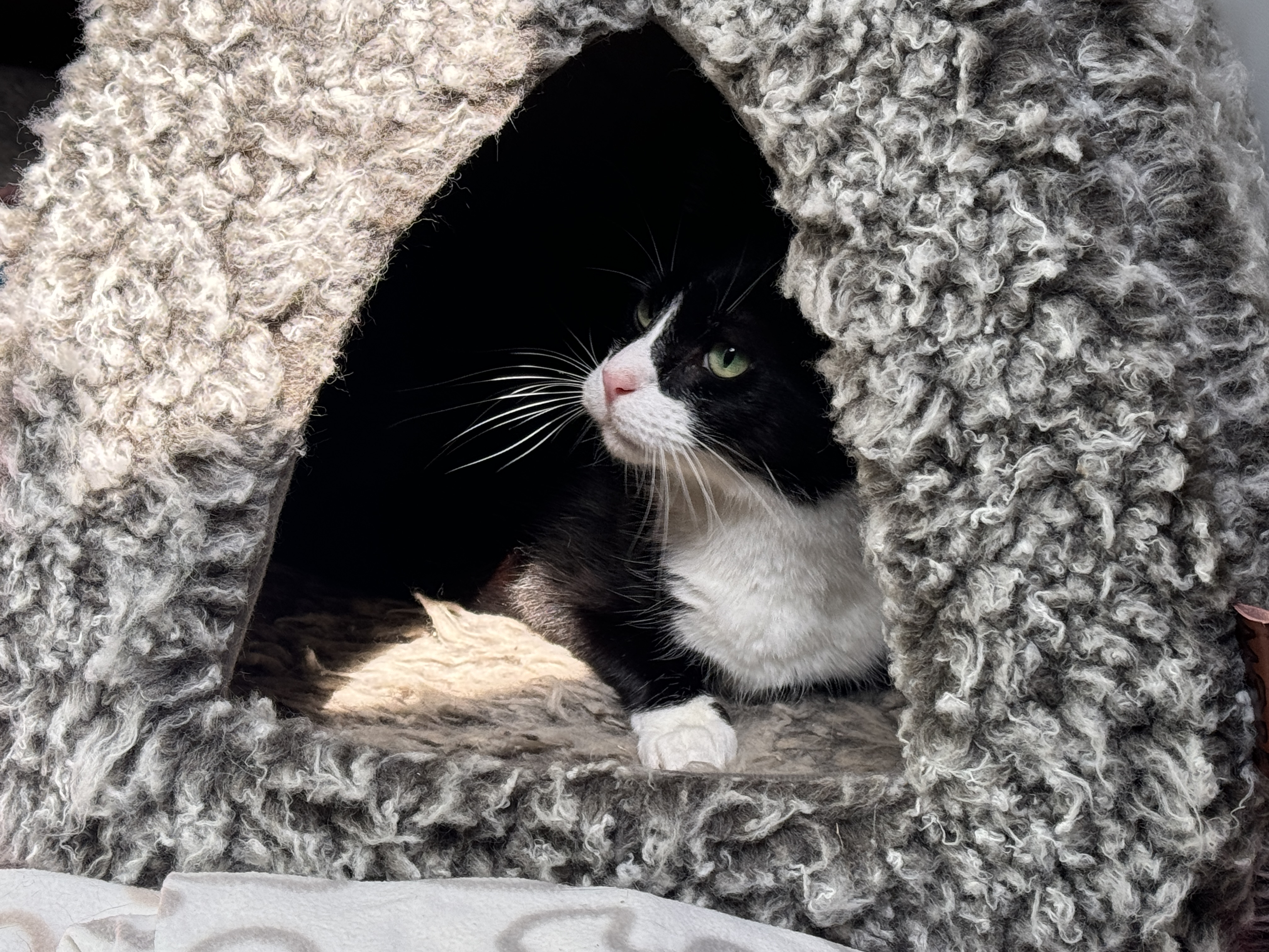 Lucky – leicht seekrank