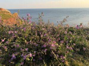 IMG_13761-1 Sehr idyllisch