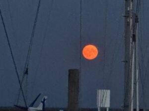 IMG_13831 Fast Voll