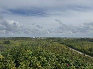 IMG_14141 Blick zum Flugplatz