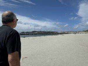 Robben und Seehunde gucken
