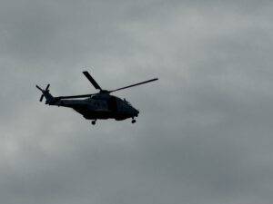 Ganz schön dicker Brummer