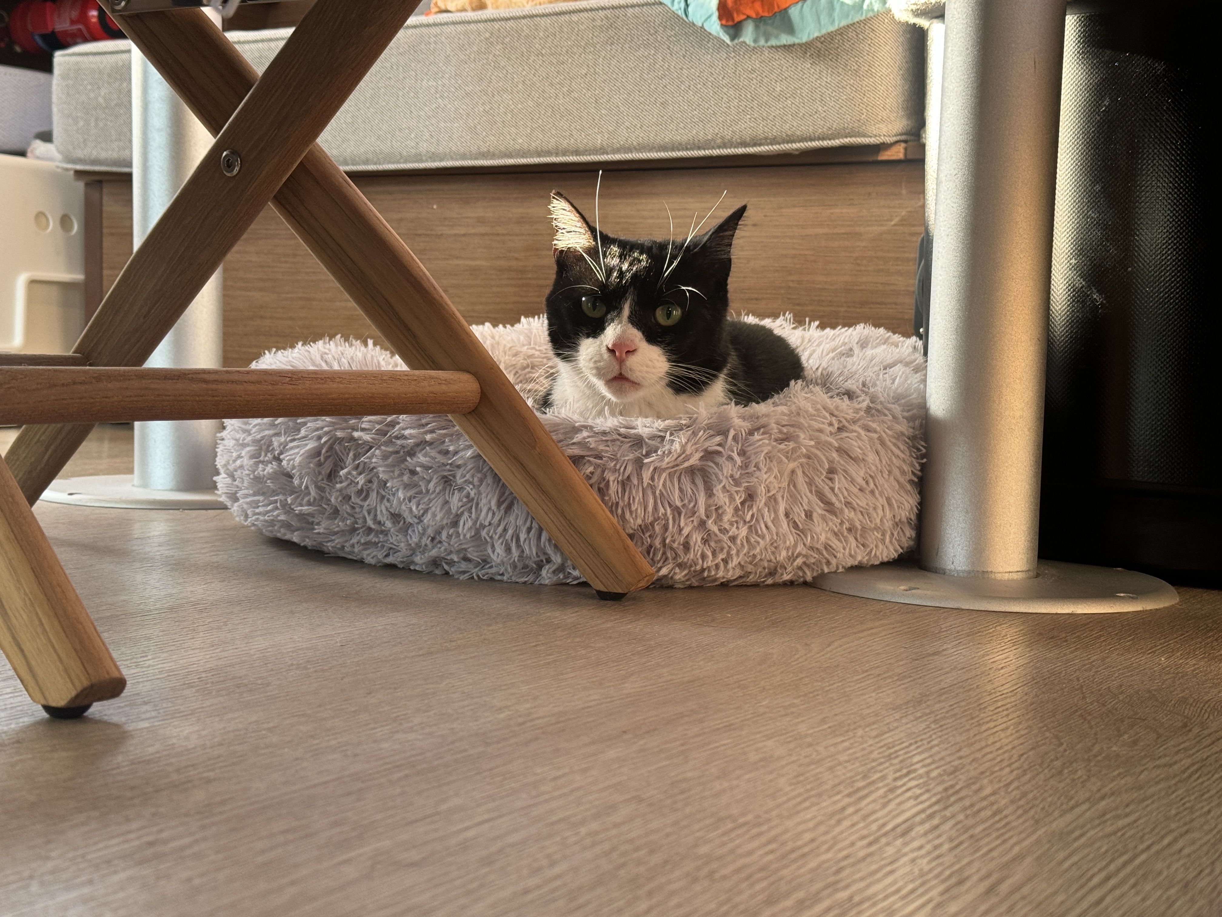 Ob man unterm Salontisch sicher ist?!