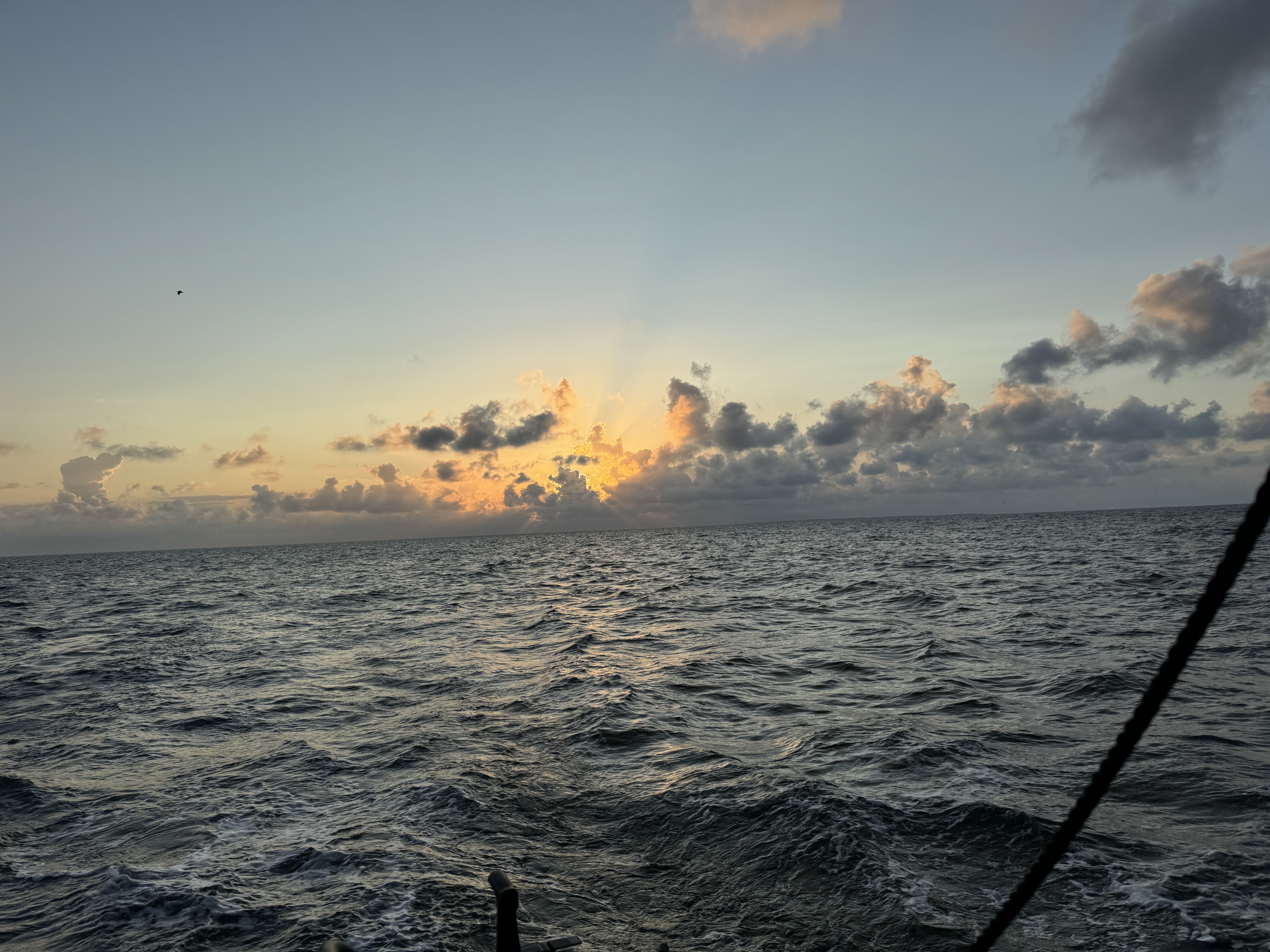 Morgendämmerung