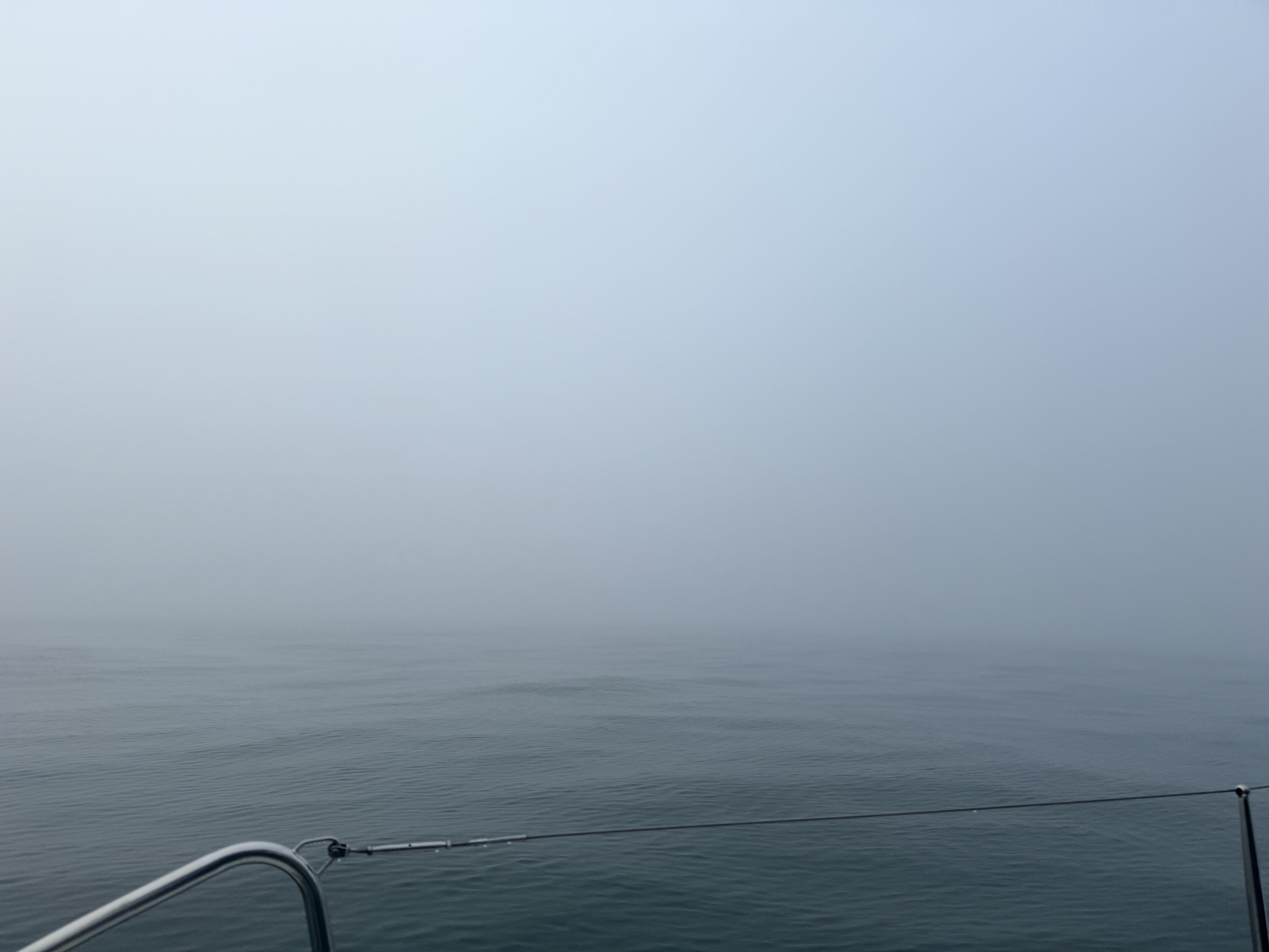 Pottendichter Nebel