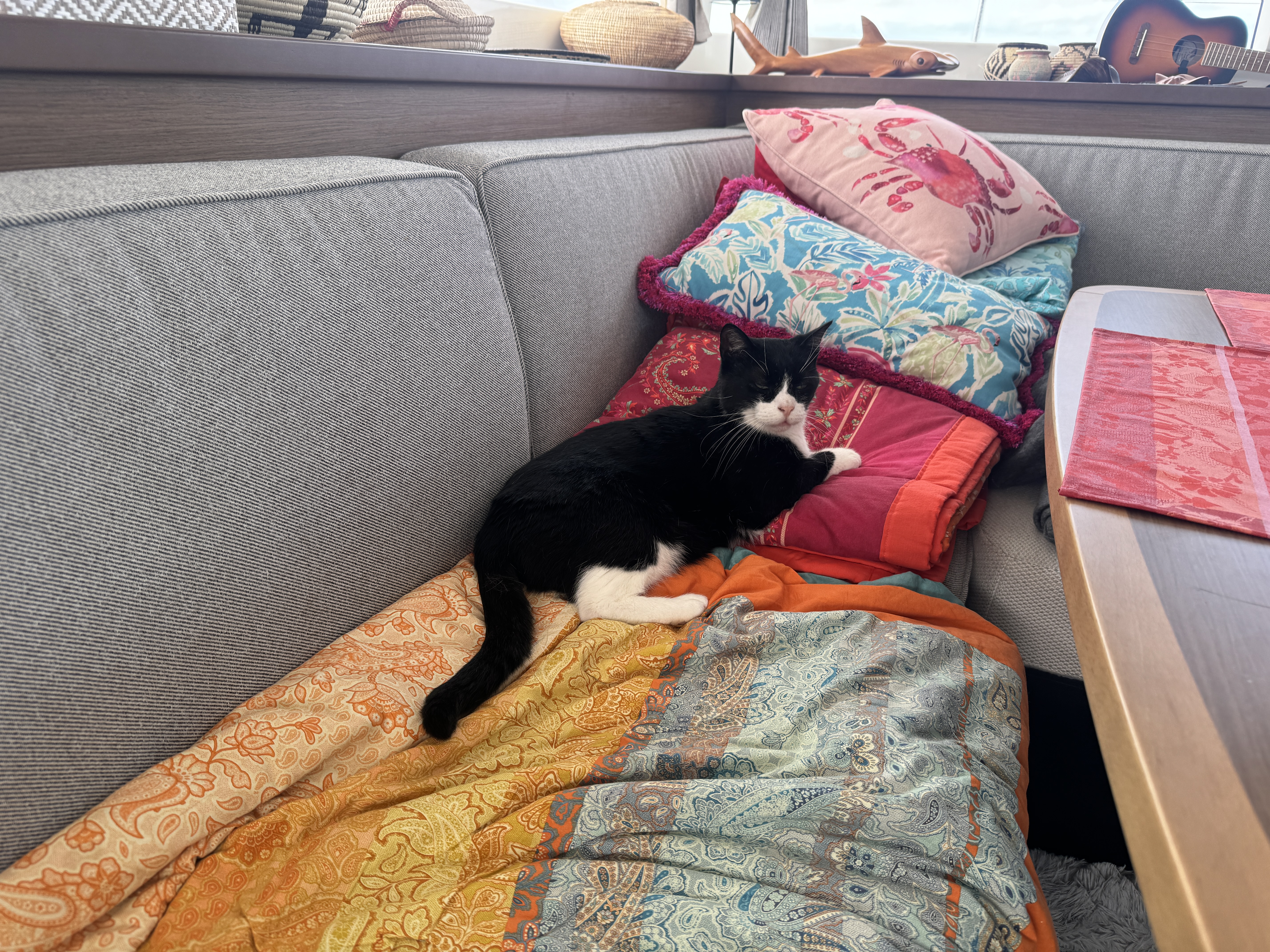 Entspannter Seekater