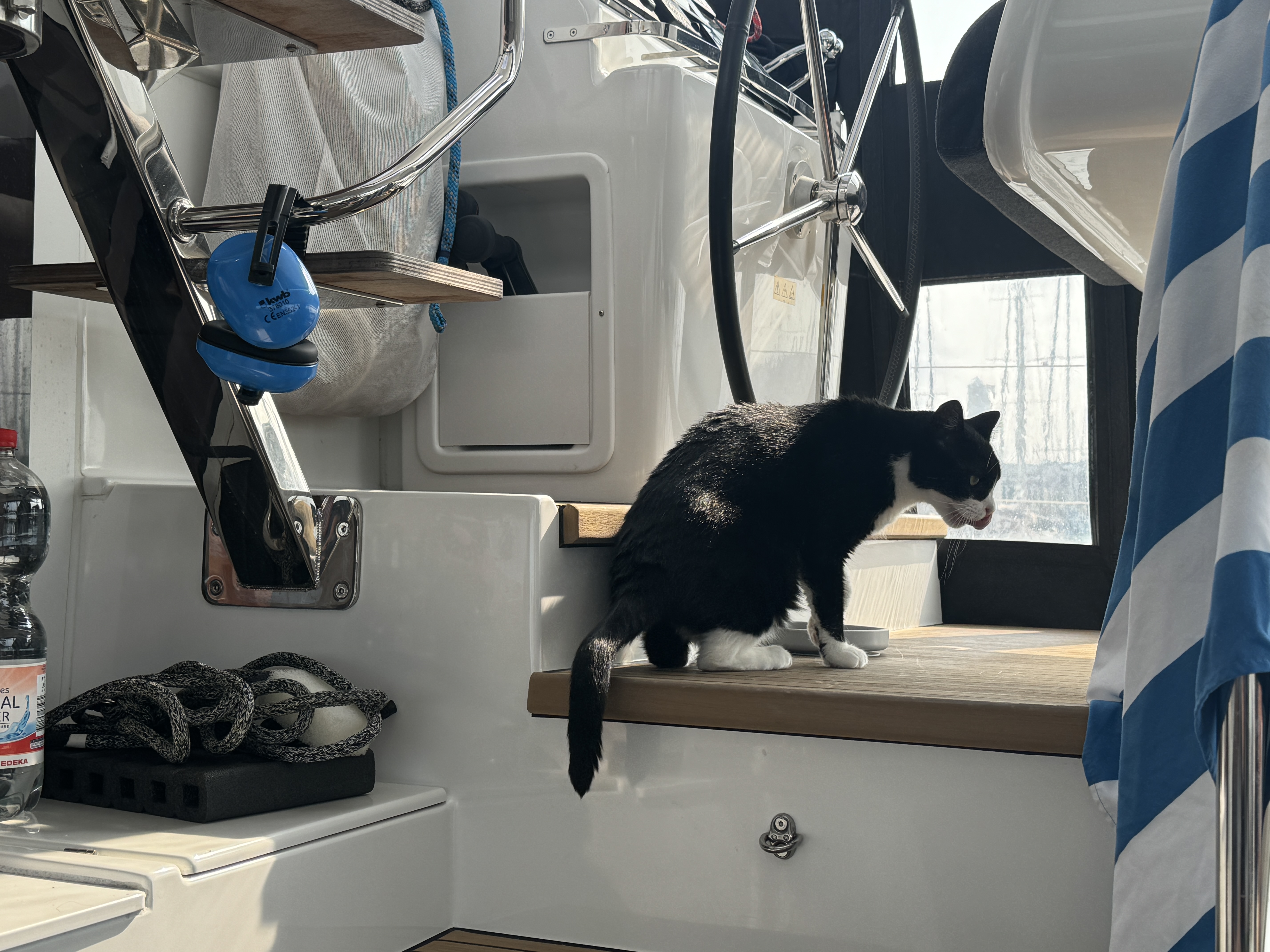 Lucky erobert neues Terrain