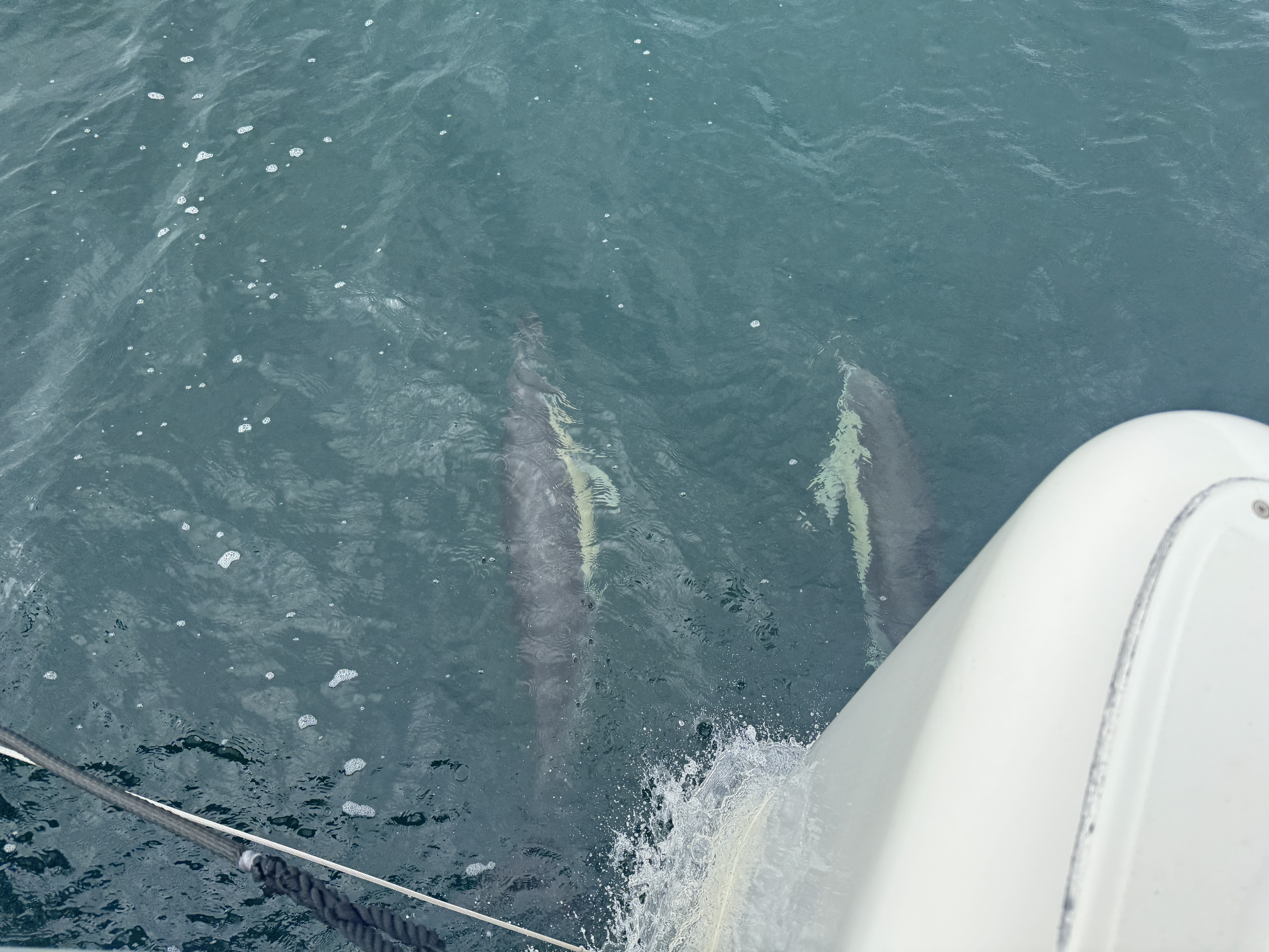 Ausblick vom Dolphin Seat