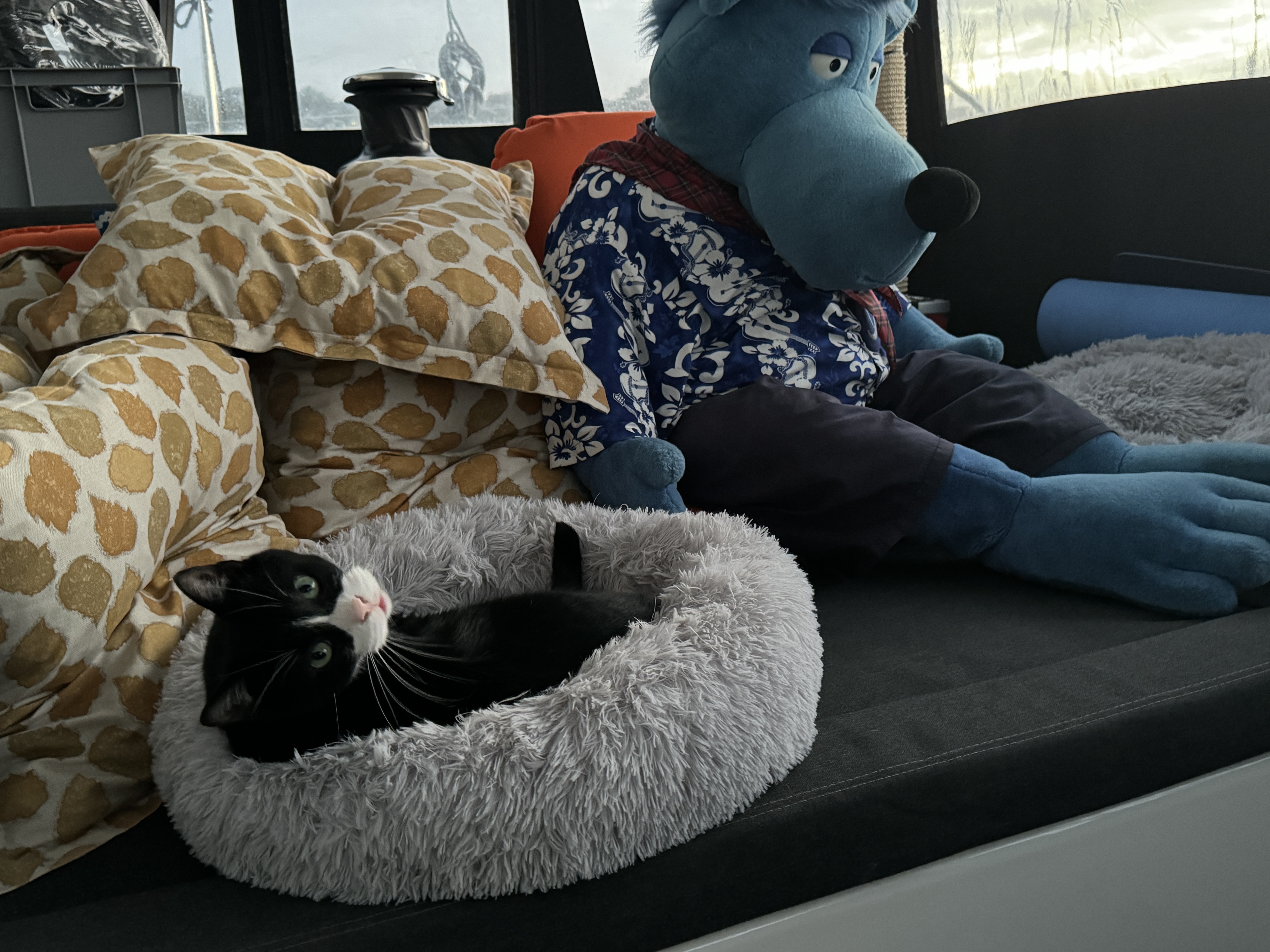 Lucky und Käpt‘n Blaubär in trauter Zweisamkeit