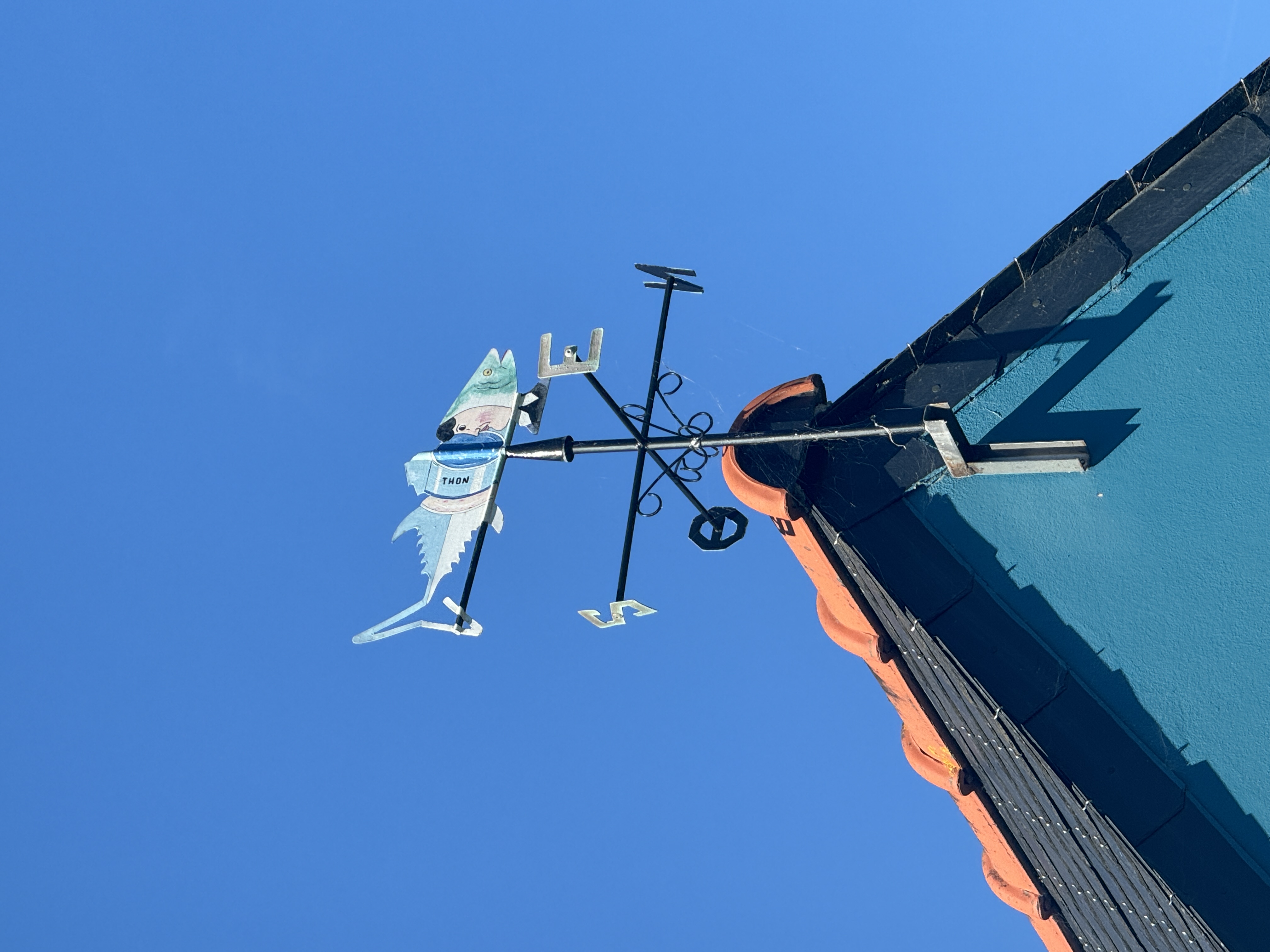 Schöne Windfahne