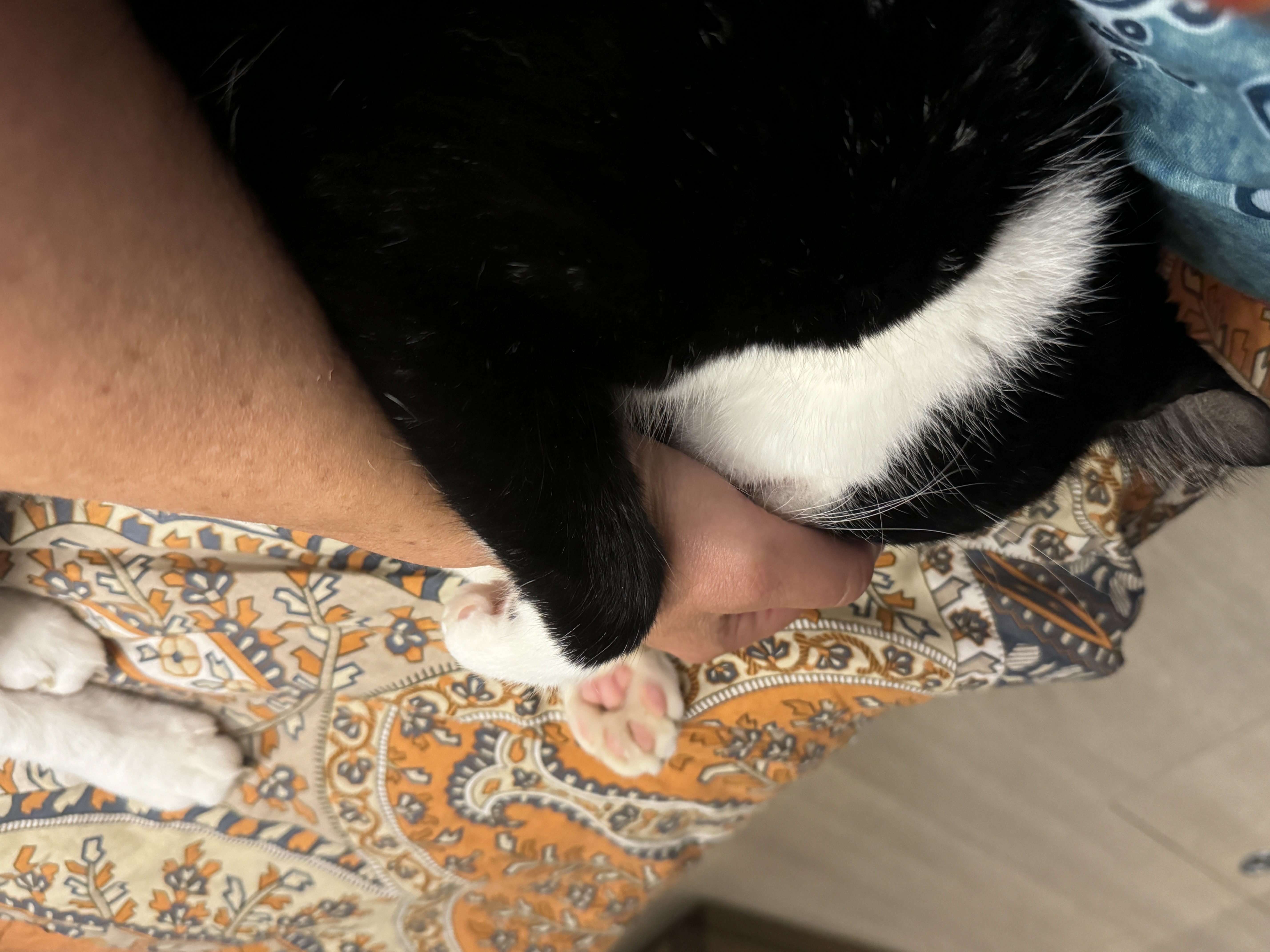 Nase tief in die Hand gedrückt
