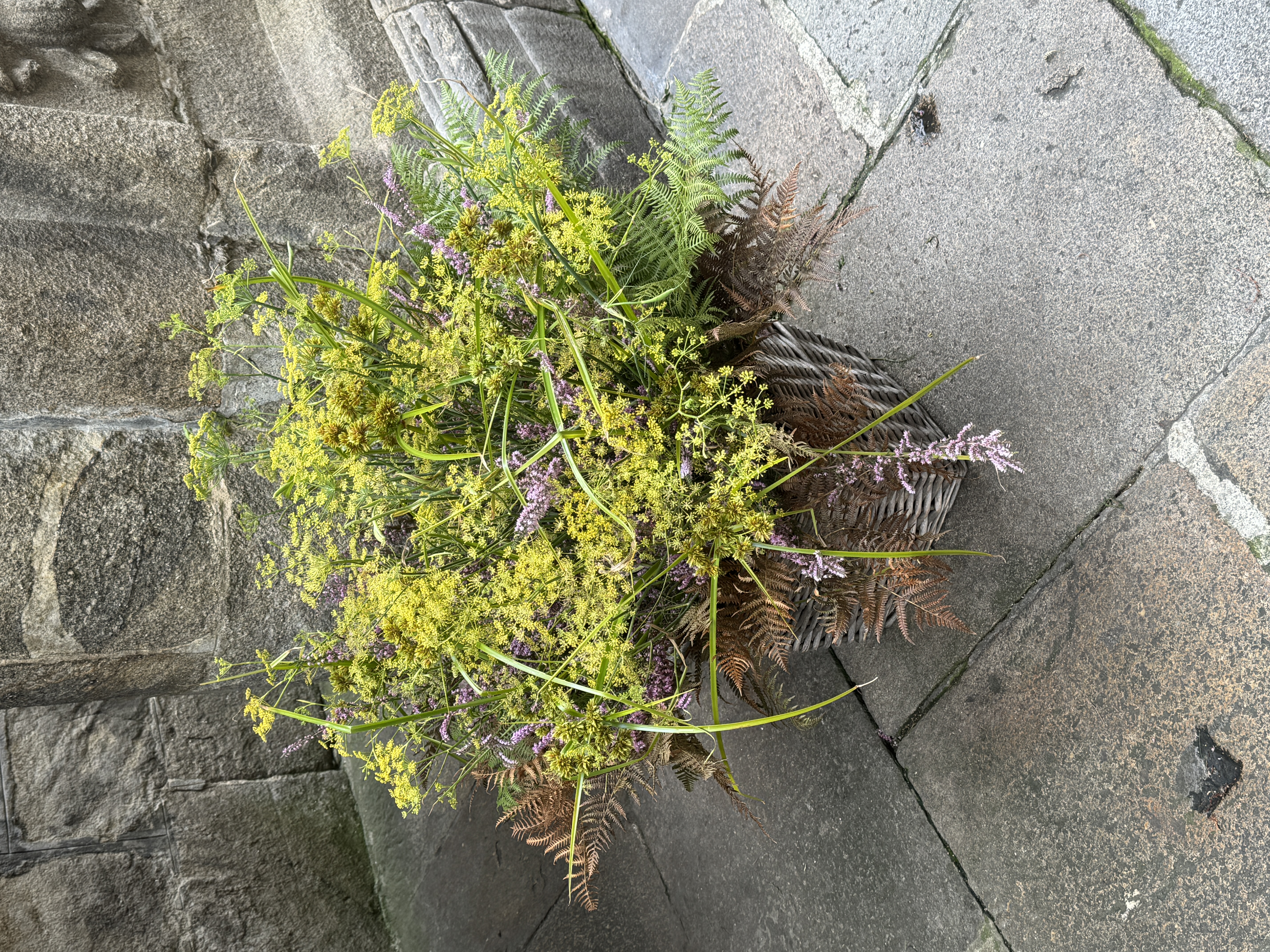 Wildblumen