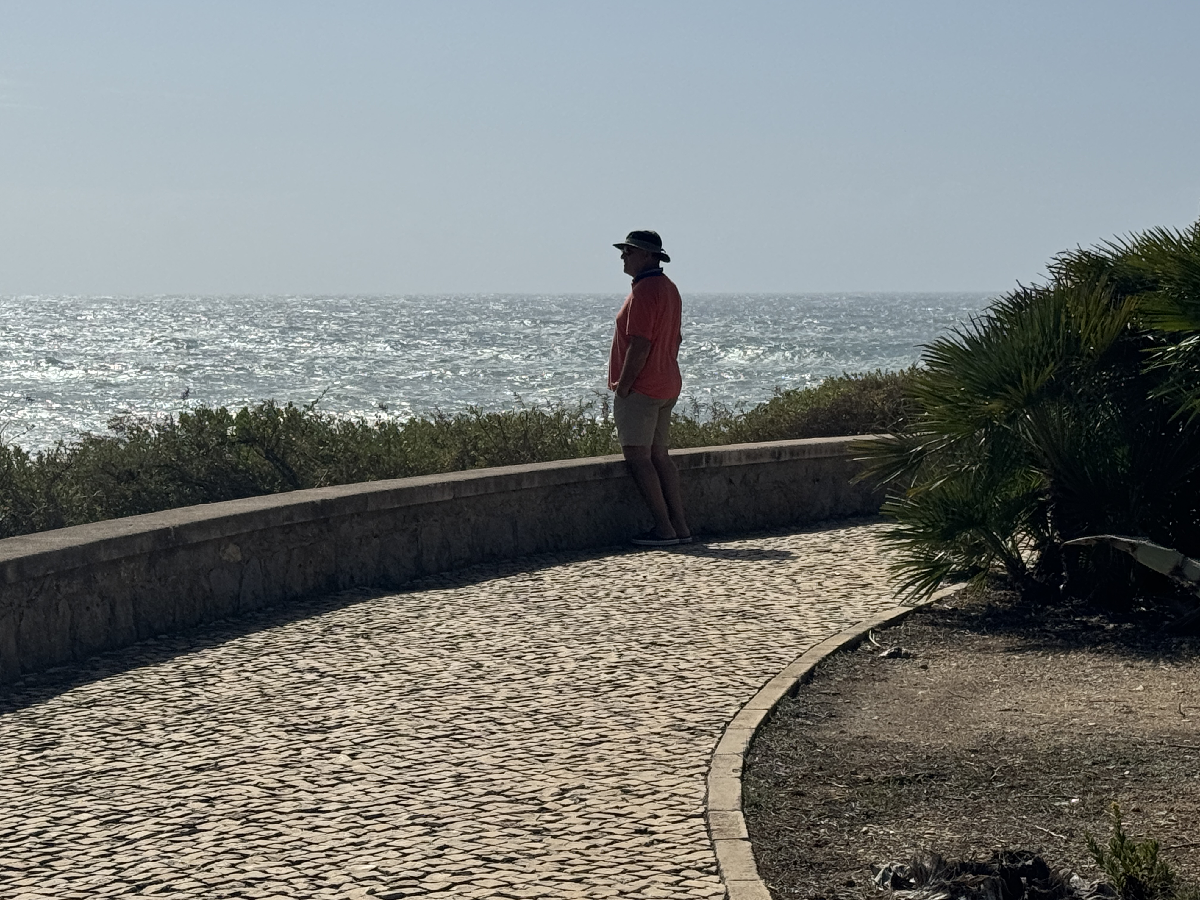 Skeptischer Blick auf die See