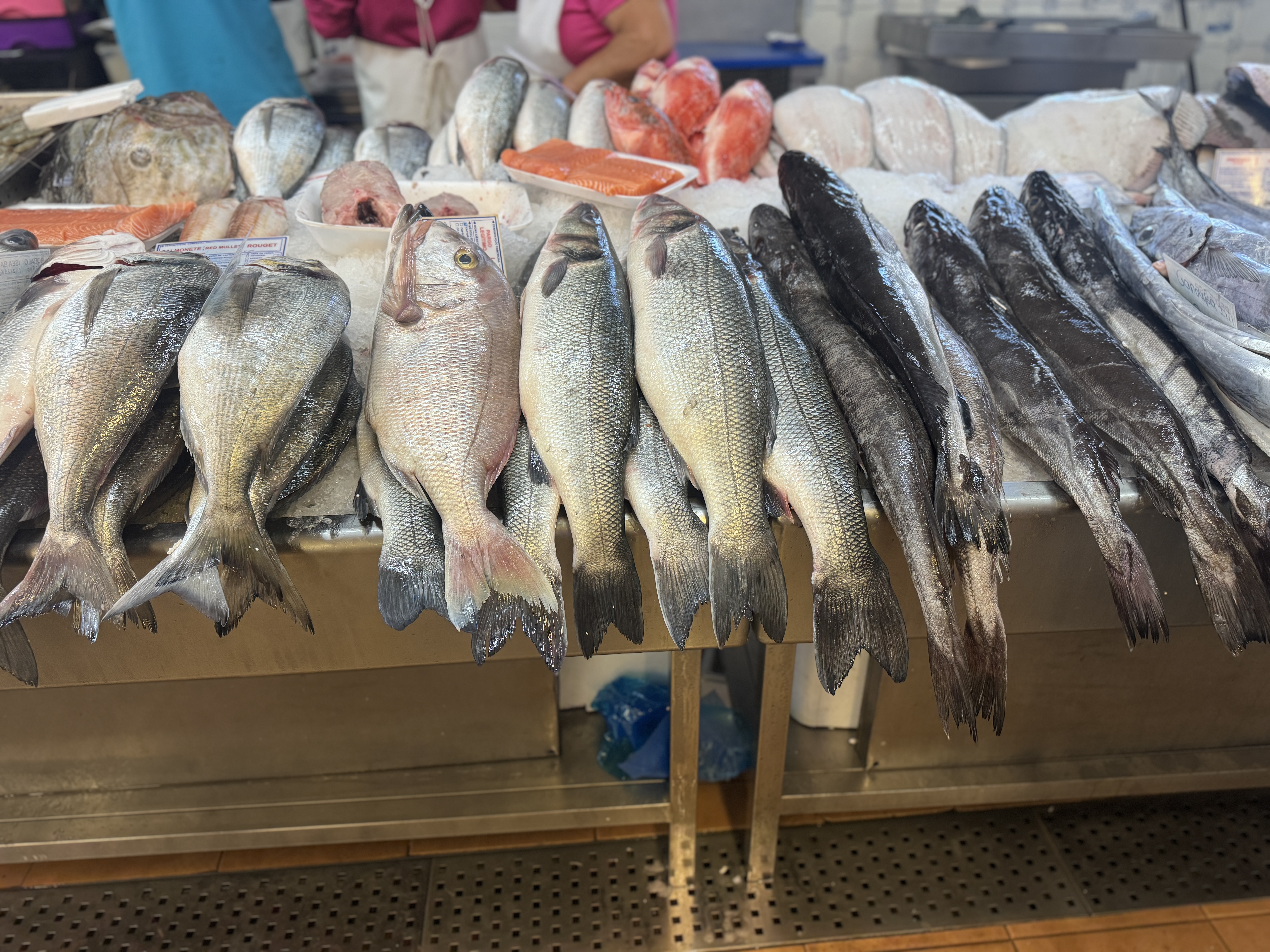 Ein Fisch reicht für eine Großfamilie