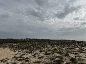 Tolle Dünenlandschaft