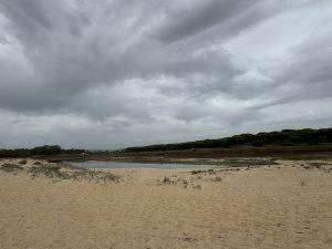 IMG_3263 Foz do Rio Almargem