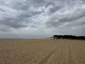 IMG_3264 Praia do Almargem