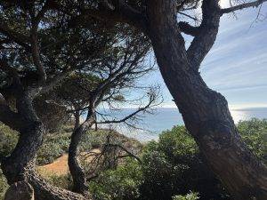 Blick Richtung Osten