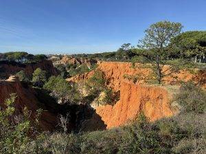 Über diese Schlucht muss der Ball