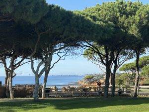 Schade, leider geschlossen