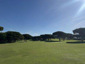 Durch die Pinien geht es weiter