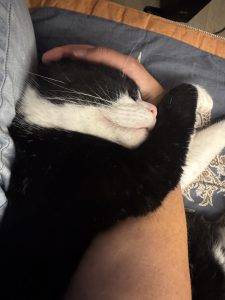 Das Bordkaterleben ist hart!