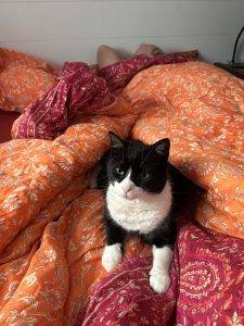 Wer guckt denn da so verschlafen aus dem Bett?!