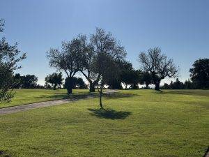 Zu viele Bäume für den einen oder die andere