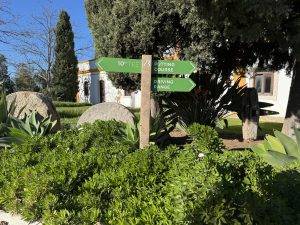 Auf zu den nächsten 9 Loch