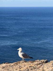 Ganz weit hinterm Horizont liegt Amerika