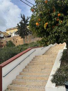 Orangen mitten in der Stadt