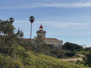 Leuchtturm mit Palme