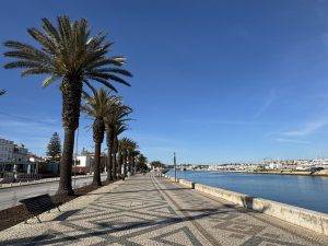 IMG_3572 Palmenallee
