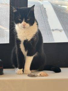 Die Gäste haben ihre Muscheln vergessen!