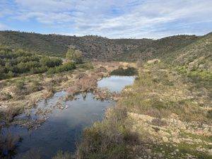 Aufgestautes Flüßchen