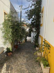 Überall blüht es in den Gassen