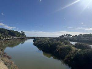 Radausflug an den Ria Formosa