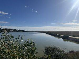 IMG_3645 Wundervolle Lagune