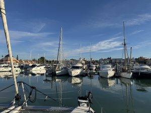 Erstklassiges Geburtstagswetter am 1. Februar