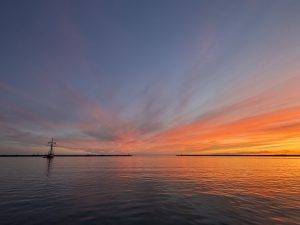 IMG_3728 …