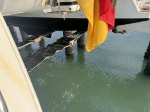 Schwebflug aus dem Wasser