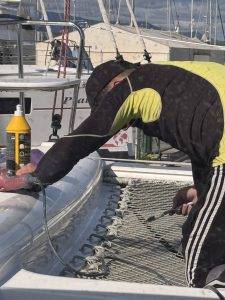 La Ola wird mit der Zahnbürste poliert!