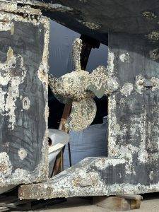 Nicht jedes Unterwasserschiff sieht so gut aus, wie das von La Ola