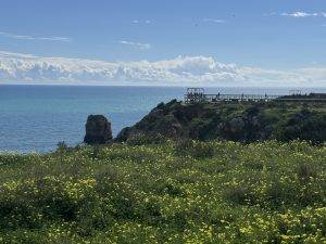 Frühling am Ponta de Piedade