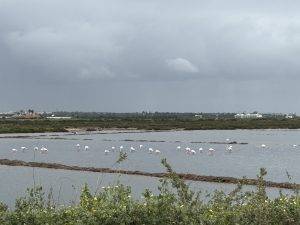 Was stackst denn da?!