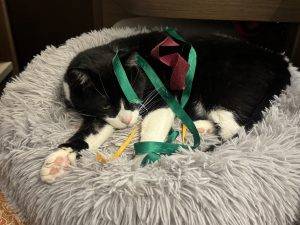 Vom Bändsel besiegt?