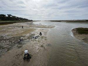 Muschelsucher in der Lagune